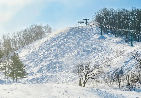 グリーンAコース