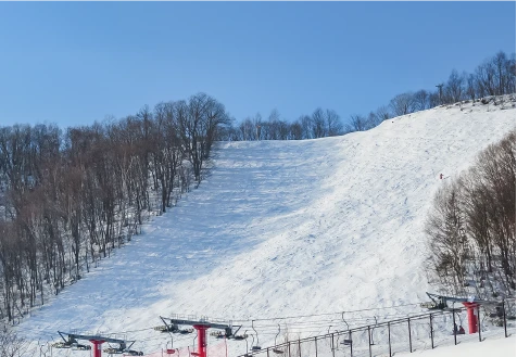 オレンジコース