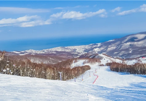 パープルコース