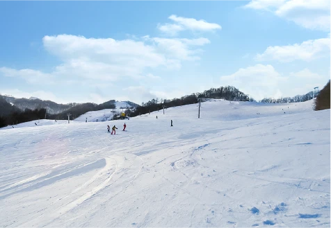 イエローBコース